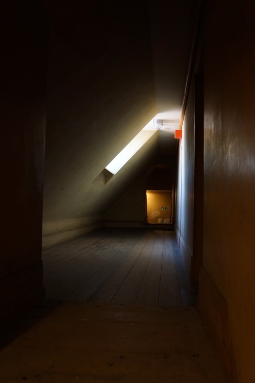DSC07942.jpeg