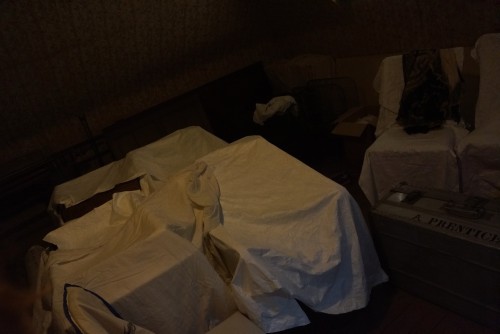 DSC07945.jpeg