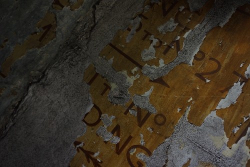 DSC08899.jpeg