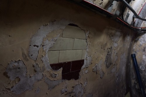 DSC08902.jpeg