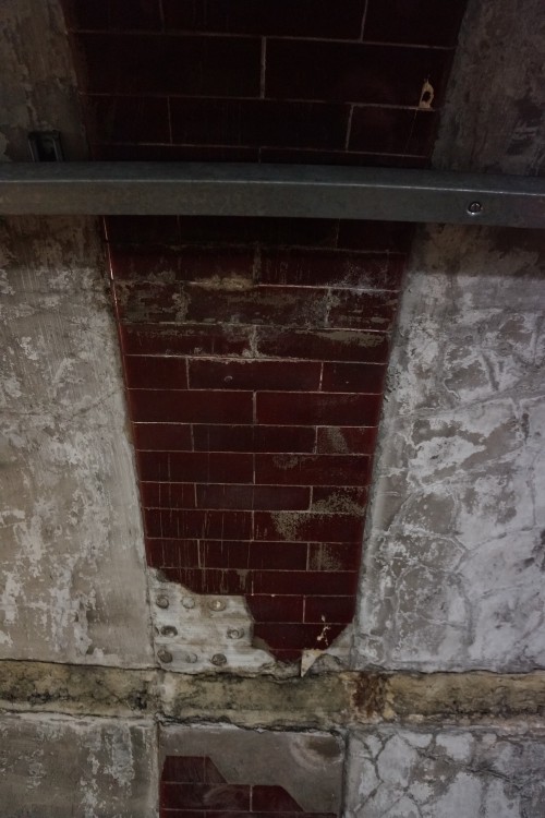 DSC08904.jpeg