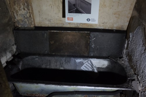 DSC08914.jpeg