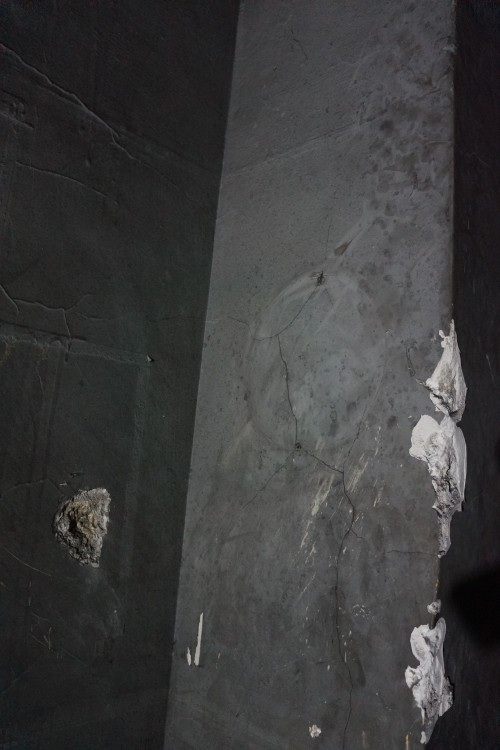 DSC08932.jpeg