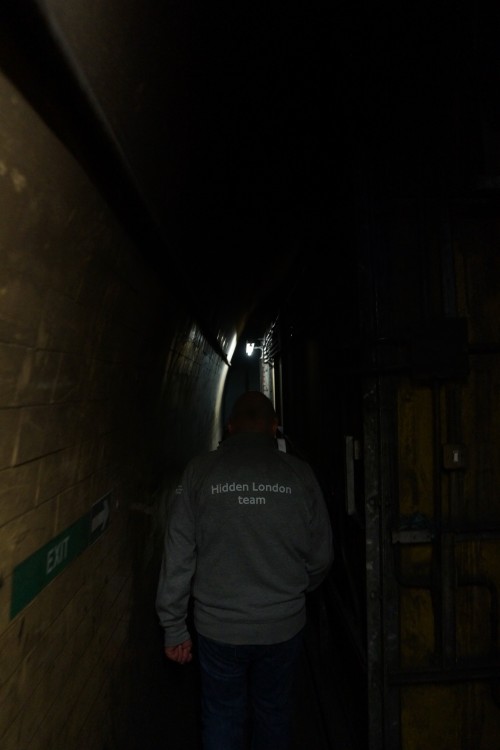 DSC08935.jpeg