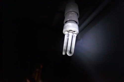 DSC08937.jpeg