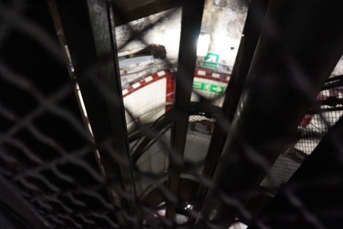 DSC08962.jpeg