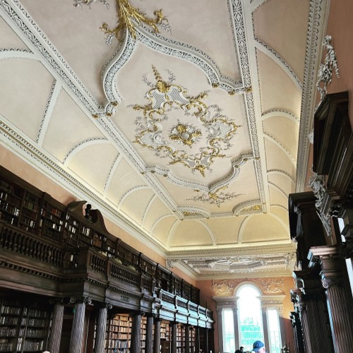 0251E60C BC45 416D 8F17 E623BCC38F3A